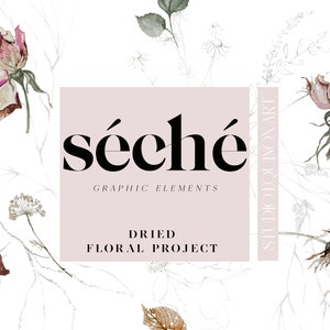 Clipart di elementi floreali dell'acquerello autunnale, clipart autunnale, caduta dell'acquerello, floreale sbiadito, fiori secchi, clipart rosa, floreale di grafite