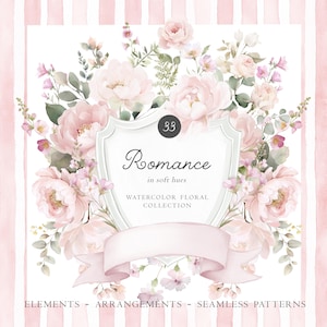 May include: A watercolour floral design featuring soft pink peonies, roses, and other flowers. The design includes a shield-shaped emblem with the word "Romance" and a banner. The background has pink stripes.