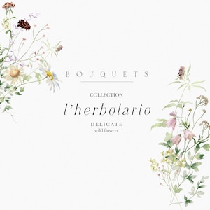 Bouquet floreali selvatici clipart, acquerello clipart primavera/estate, fiori selvatici, acquerello clipart floreale, fiori botanici ed erbe