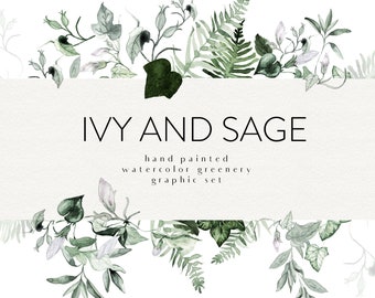 Puede incluir: Conjunto gráfico de vegetación acuarela pintada a mano con hojas de hiedra y salvia en tonos verdes. El conjunto se titula "Ivy and Sage" e incluye el texto "hand painted watercolor greenery graphic set".