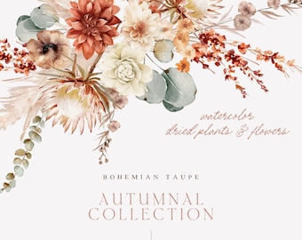 May include: Watercolour illustration of a bouquet of dried plants and flowers in shades of beige, brown, and white. The text "watercolor dried plants & flowers" and "BOHEMIAN TAUPE AUTUMNAL COLLECTION" is visible in the image.