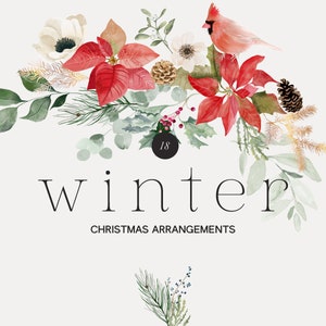 Buquês de aquarela de inverno - Flores de Natal - Clipart de pinho - Poinsétia - Buquês de Natal - Clipart de inverno - Flores de inverno - Buquês