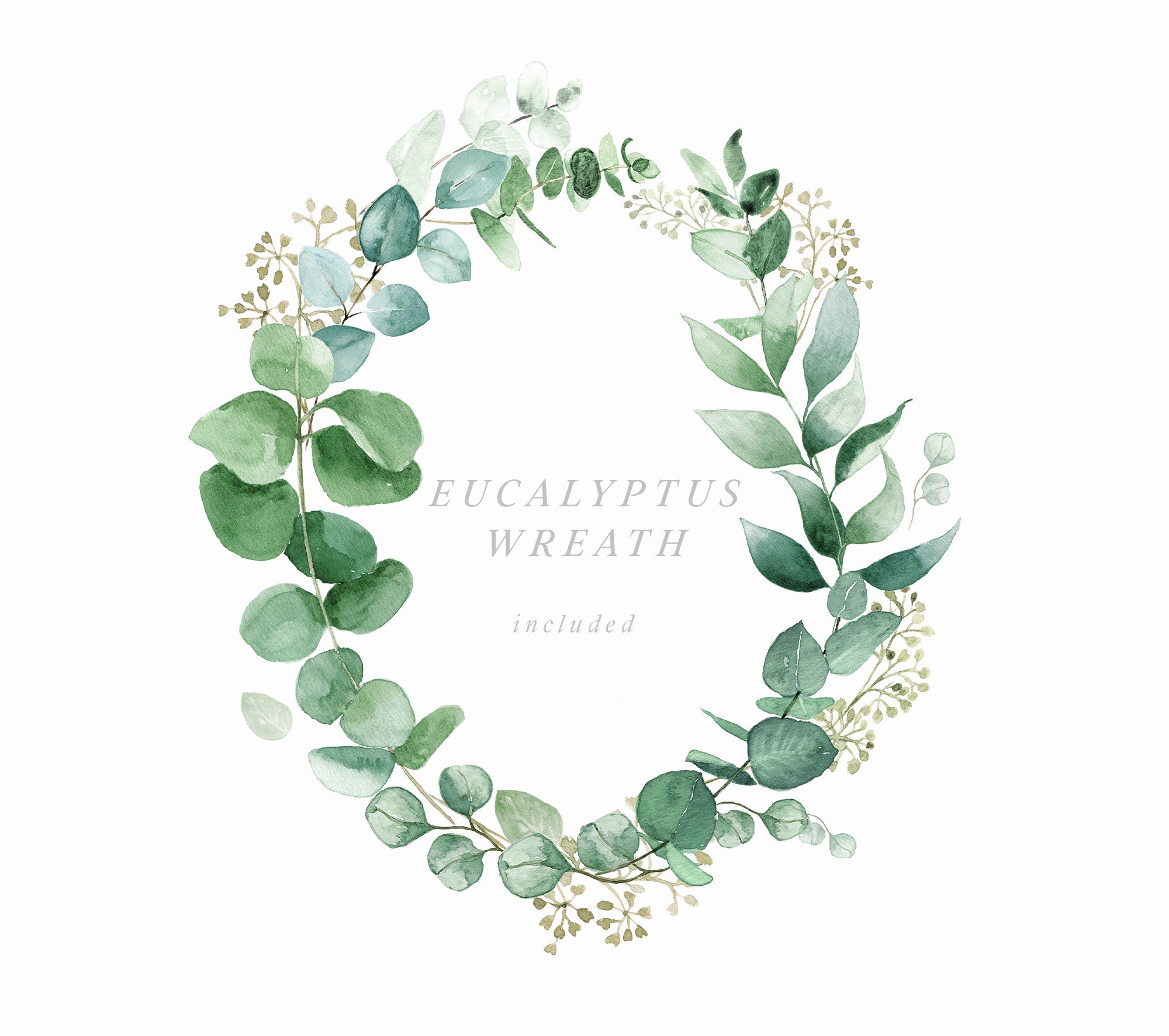 Watercolor Eucalyptus Clipart Baby Blue Eucalyptus Greenery - Etsy ...
