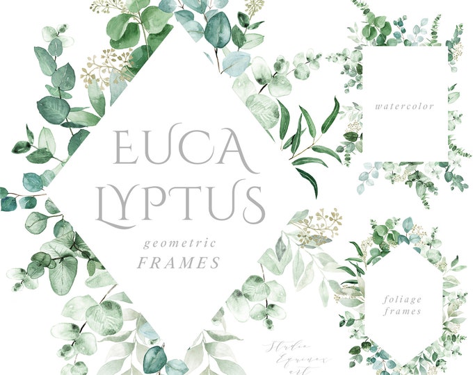 Watercolor Eucalyptus Geometric Clipart Frame Greenery Frames Clip Art ...
