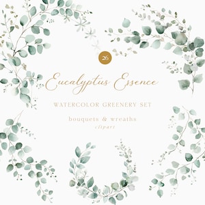 Clipart di verde acquerellato, bouquet di eucalipto, ghirlande di eucalipto, composizioni di verde, clipart di invito di nozze, clipart di journaling