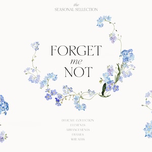 Forget me not Clipart - Watercolor Forgetmenot - Watercolor Spring Flowers - Blue Floral Clipart - Watercolor Blue Flowers - Wedding Art