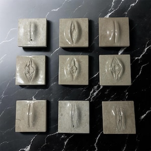 May include: Nine square, stone-like tiles, each featuring a unique, sculpted vulva design. The tiles are arranged in a grid pattern against a black and white marble-patterned surface. The sculptures vary in shape and detail.