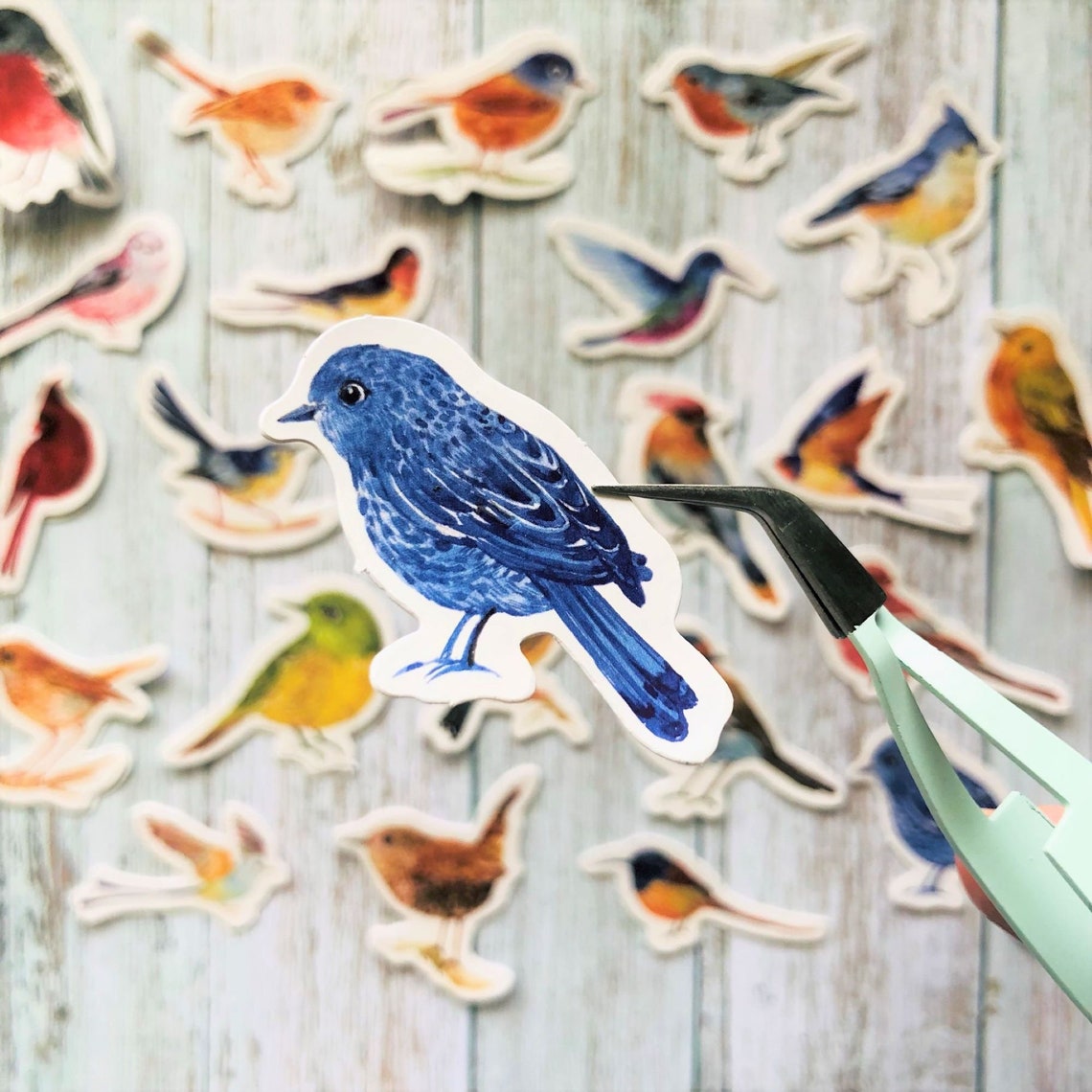 Bird Sticker Pack Cute Colourful Bird Stickers Bird Planner Etsy