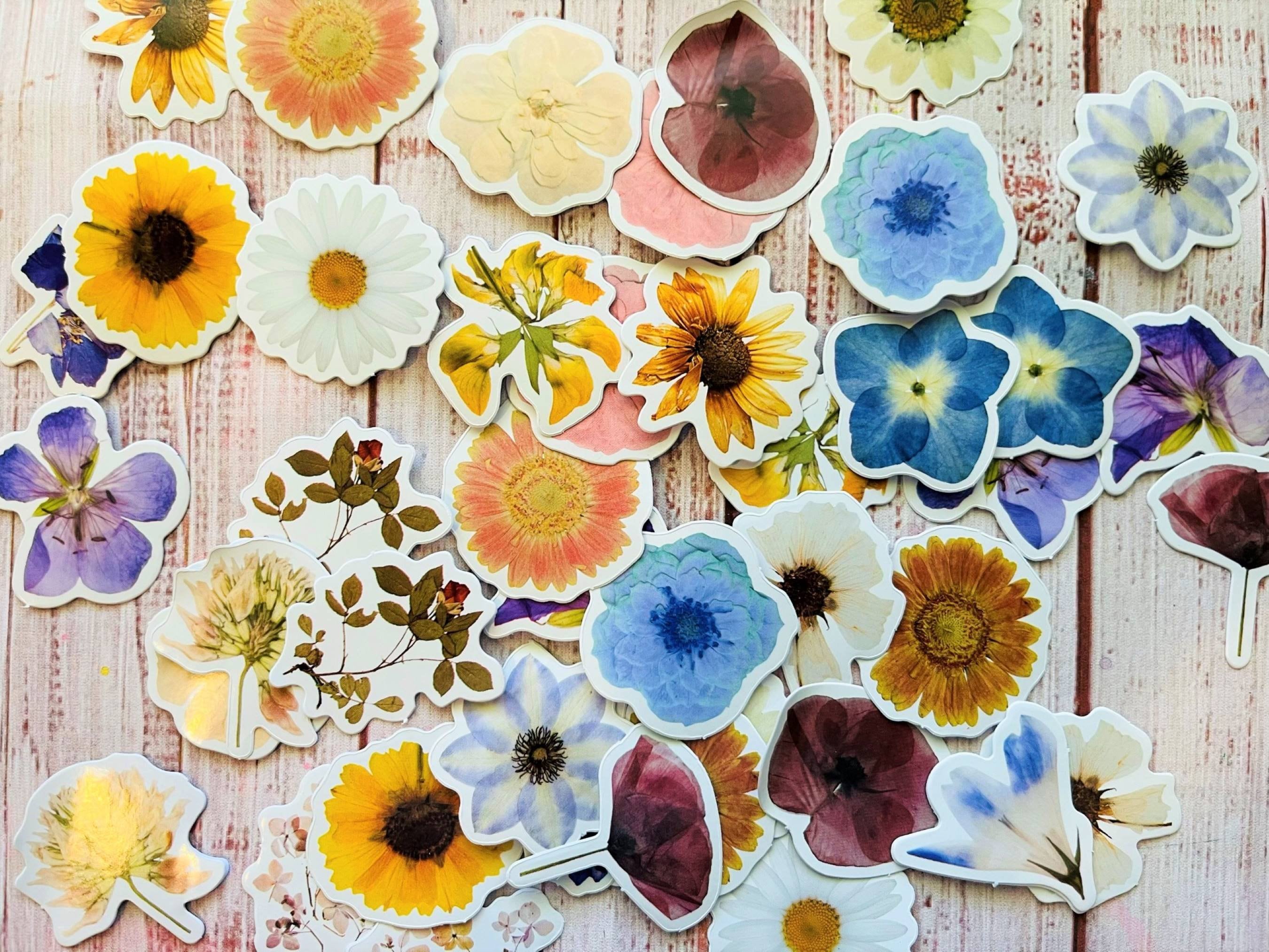 Flower Sticker Pack, Pressed Flower Stickers, Floral Stickers, Journaling  Stickers, Scrapbooking Stickers, Flower Lover Gift 