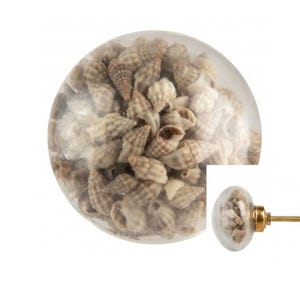 Peut inclure: Bouton de meuble en verre transparent rempli de petits coquillages beiges. Le bouton a une base et une vis en métal doré. Les coquillages sont bien tassés à l'intérieur de la sphère de verre, créant un thème côtier ou nautique.