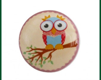 Bouton de meuble hibou coloré Bouton en céramique pour enfants Hibou