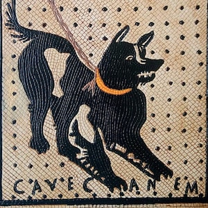 Può includere: Un mosaico in bianco e nero che rappresenta un cane al guinzaglio. Il cane è rivolto a destra e indossa un collare giallo. Il testo "Cave Canem" è scritto sotto il cane.