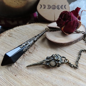 May include: Two pendants on a chain, one is a black crystal point with ornate metal accents, the other is a bird skull with a clear crystal eye. The pendants are on a wooden surface with a dried rose.