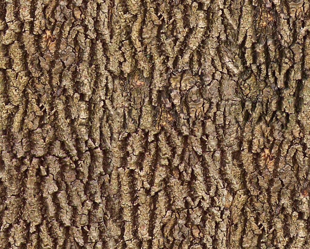 Écorce de bois Texture Image numérique pour lartisanat | Etsy