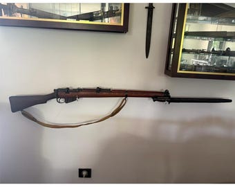 Plexiglass wall display for long guns