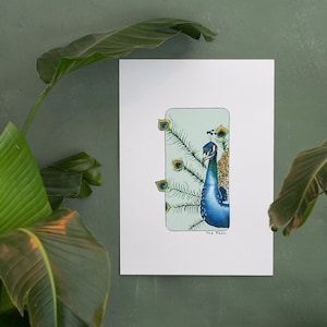 Carte postale & Affiche papier aquarelle - Paon - Décoration murale - Illustration nature et animaux - Tirage d'art peinture