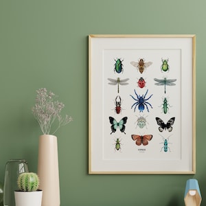 Aquarel insectenbordposter - Entomologische poster - Rariteitenkabinet - Wanddecoratie - Kunstreproductie