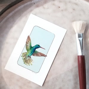 Carte postale & Affiche papier aquarelle - Colibri - Décoration murale - Illustration nature et animaux - Tirage d'art - Peinture oiseaux