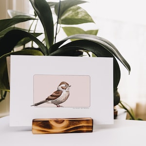 Carte postale & Affiche papier aquarelle - Bruant des Roseaux - Décoration murale - Illustration nature et animaux - Tirage d'art oiseaux