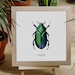 see more listings in the Watercolor | Insects section