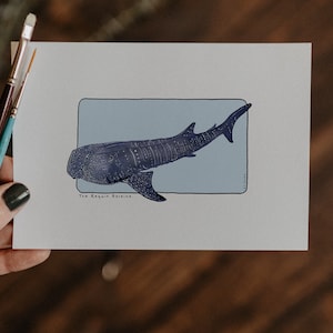 Carte postale & Affiche papier aquarelle - Requin baleine - Décoration murale - Illustration nature et animaux - Tirage d'art peinture