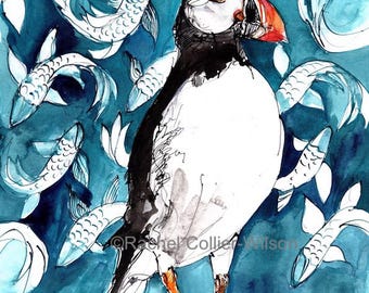 Papel pintado de frailecillo con carpa koi - Lámina artística tamaño A4 realizada a partir de un boceto original.