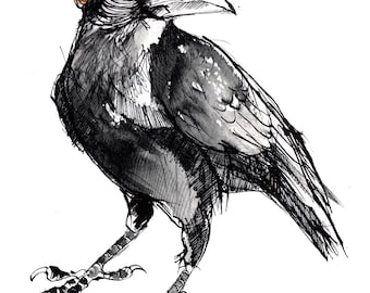 Crow In A Beanie -  A4 Art Print made from original sketch