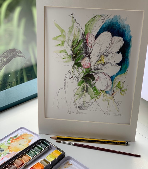 Apple Blossom Pencil And Watercolour Illustration Giclee Etsy