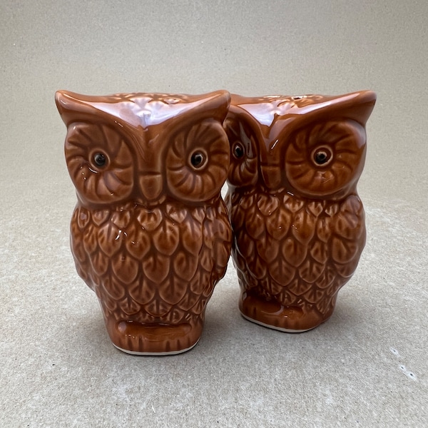 Owl Kitchen Decor Etsy