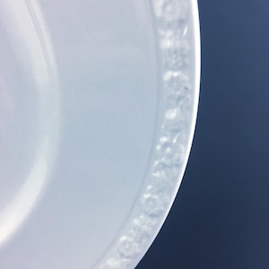 Wedgwood Hedge Rose Dinner Plates - Set of 4, White on White, Made in England