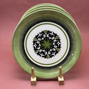 Set of 4 Retro royal China Royal Ironstone 10&quot; Dinner Plates Green Black Floral Inner Band Retro