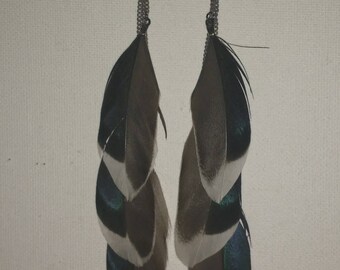 Natural iridescent feather earrings
