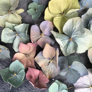 Könnte beinhalten: Eine Sammlung getrockneter Hortensienblüten in verschiedenen Blautönen, Grün-, Lila- und Rosatönen. Die Blüten sind auf einer dunkelgrauen Oberfläche angeordnet.