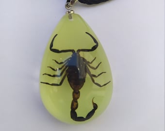 May include: A black scorpion encased in a clear, teardrop-shaped pendant with a yellow tint. The pendant is attached to a black cord necklace.