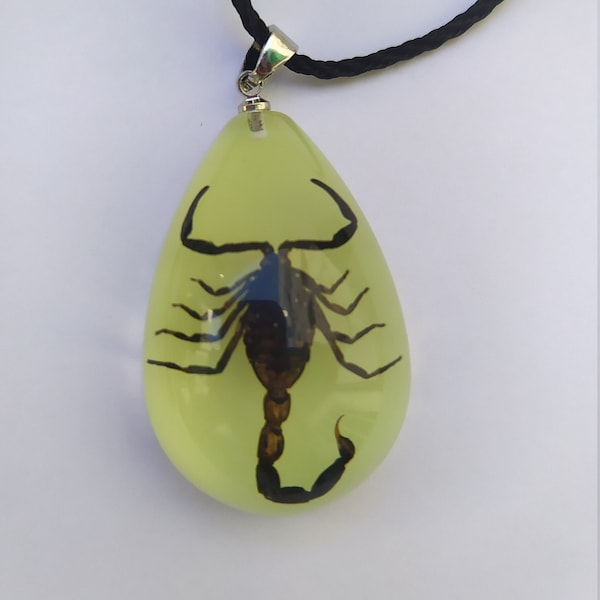 Scorpion / pendentif fluo / collier résine scorpion / insecte en peluche / insecte