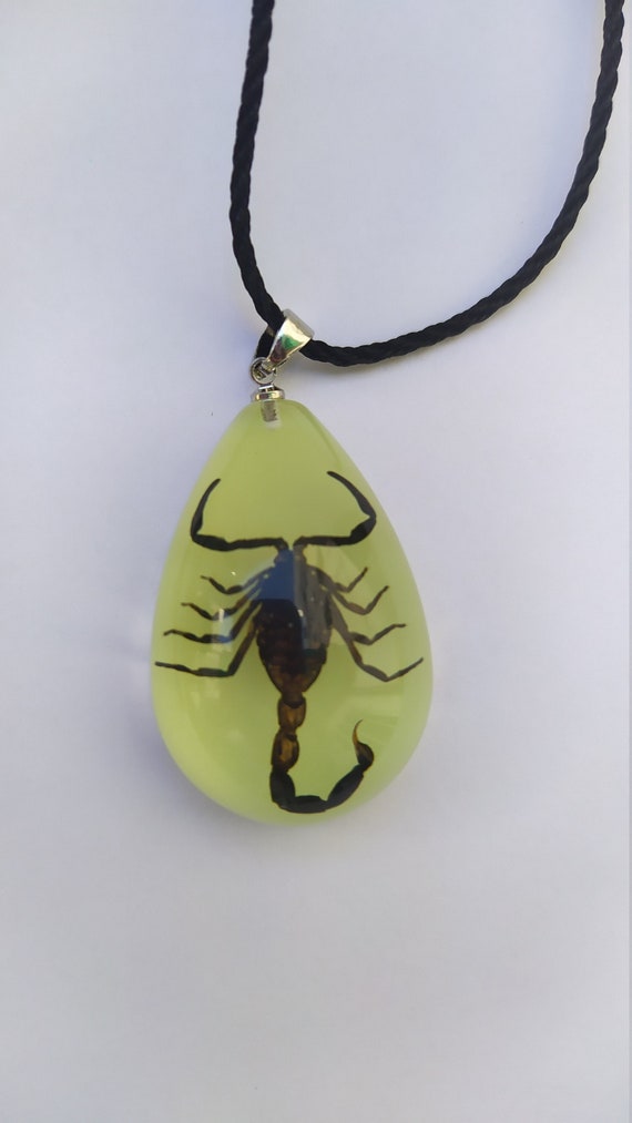 Resin Real Insect Spider Scorpion Necklace, Luminous Insect Amber Pendant |  SHEIN USA