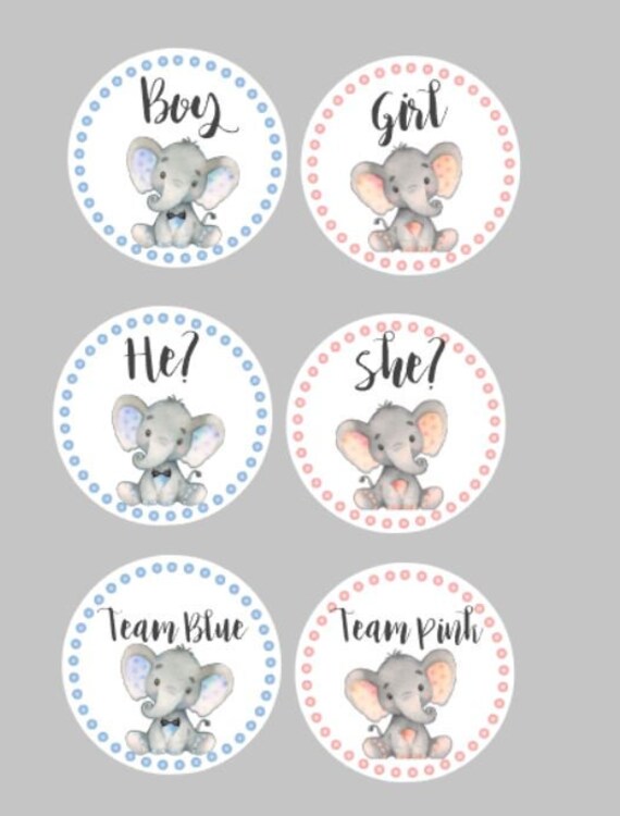 Elephant Gender Reveal Stickers /watercolor Elephant Address Etsy