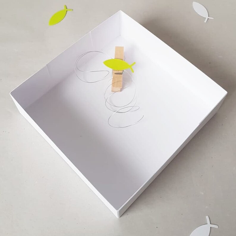 Cash gift packaging cash gift communion gift gift gift idea gift box gift box gift wrap chisty green fish