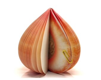 Block peach Fruit notebook Memo Notes