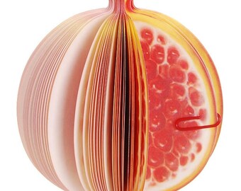 Block pomegranate red notebook Memo Notes