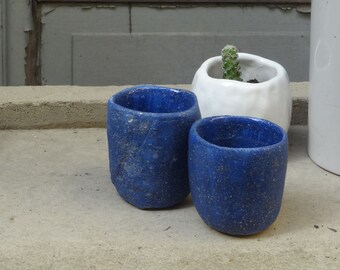 small pots for cacti and oily plants