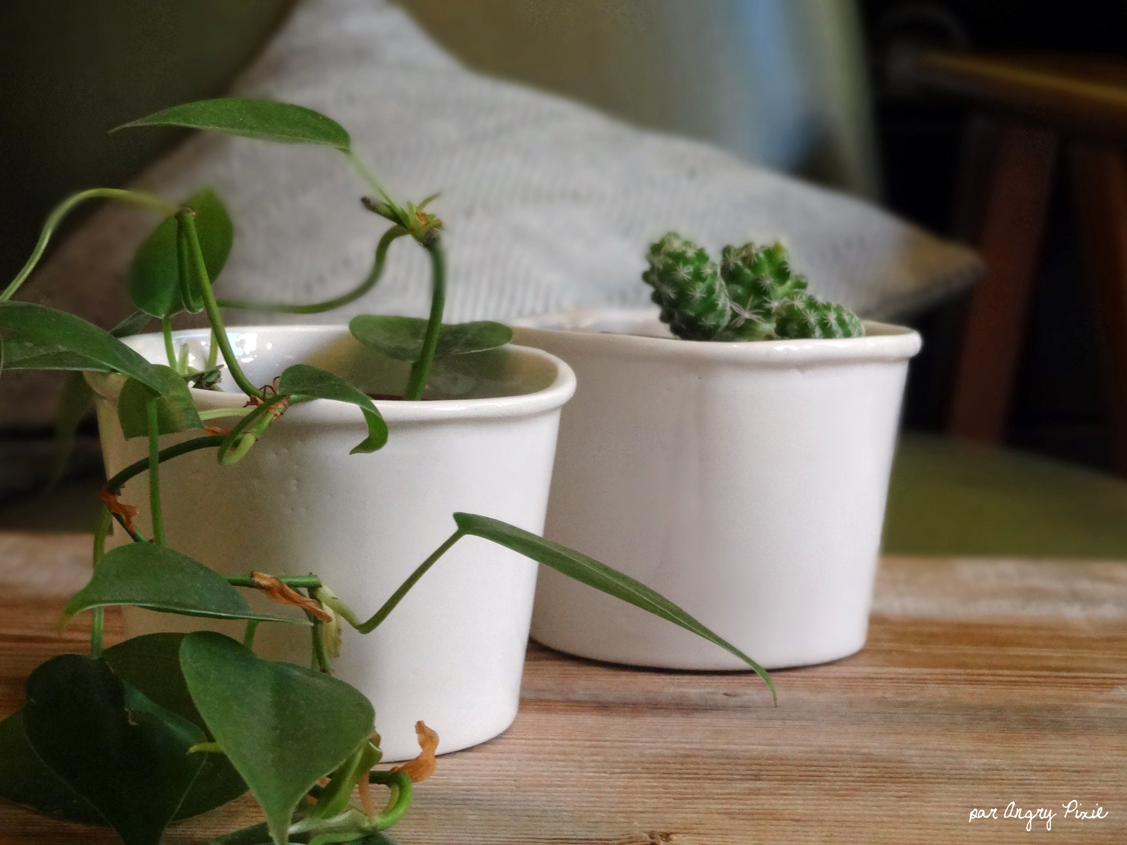 Cache-Pots Blancs en Céramique Imitation Pot Carton