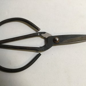 Hans Good Quality Sharp Small Scissors - China Fancy Scissors and  Stationery Scissors price