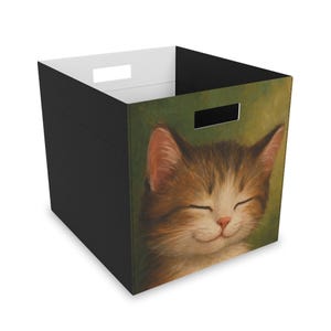 Gezellige opbergdoos van kattenvilt - speelse opberger voor thuis, leuk decor, cadeau huisdierliefhebbers, opberger kinderkamer, decor kattenthema