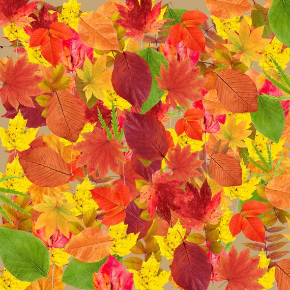 Herbst-Duschvorhang Mit Ahornblatt-Motiv – 178x178 Cm, Wasserdicht, Mit 12 Haken, Polyester