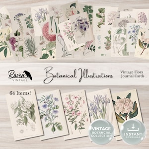 Cartões de diário de flora vintage, diário de lixo para impressão, 64 itens, 2,5" x 3,5", alinhados ordenadamente para fácil corte, itens digitais, flores