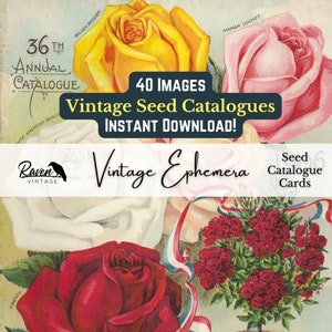 Seed Catalogues | Vintage Ephemera Printable
