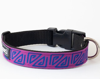 Waterproof Dog Collar | Unique Colourful Patterns | Upcycled Wetsuits | Pool Party | Absurd Design