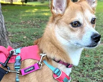 Escape Proof Dog Collar Clip | Waterproof Backup Safety Strap