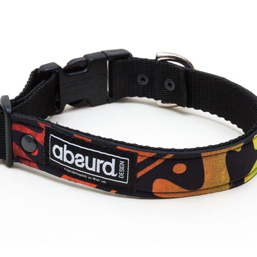 Waterproof Beach Dog Collar Eco Upcycled Wetsuits Unique Etsy